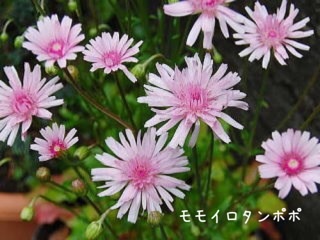 {19AF30E0-07D2-4A74-A0BB-76EC8635335F:01}