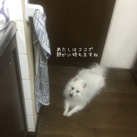 {6229090D-A0D9-4464-89F7-EB574688CC62:01}