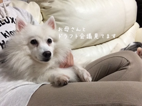 {456D8A0B-15ED-47F0-938C-209C621A5667:01}