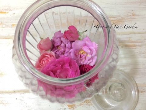{EB33CED3-F30F-4677-9DBE-A07F273C73C9}