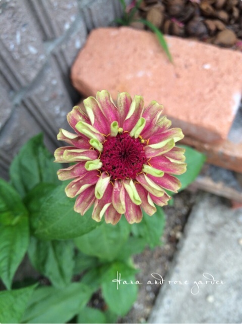{E2874251-1BAE-4909-A6D0-2C50471E6982:01}