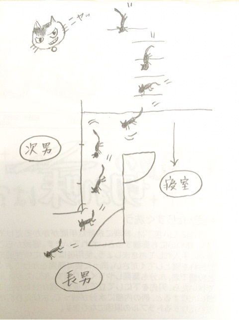 {A5E12090-B8FC-4DC7-A812-52CD64013454}