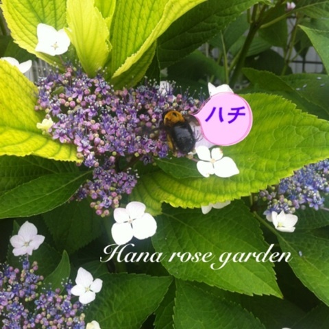 photo:05
