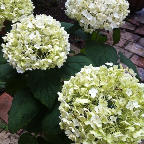 photo:04