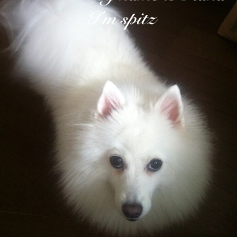 photo:04
