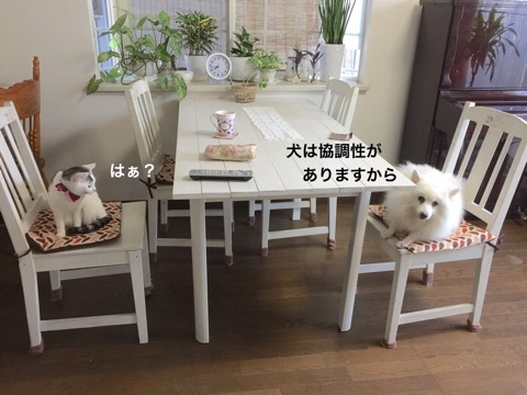 {01512FF8-5EBA-42FF-B17C-0087CF304C12}