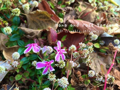 {AA16EBFD-0279-4AE2-9ABF-0F5DCCD4BD2E:01}