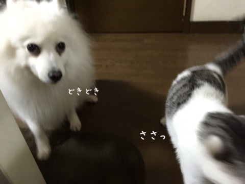 {E9DFFFCB-3779-4AF3-8FE1-3AA852E10F75:01}