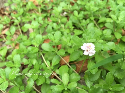 {A831059C-202E-4369-8AEF-A0515A9A0499}