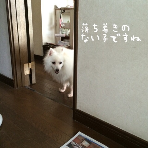 {D912E453-9ED1-4973-9142-161D26A1E963:01}