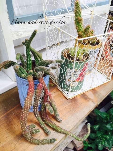 {F15FE9C6-C3FE-4502-B49F-8EC0B3AEFD52}