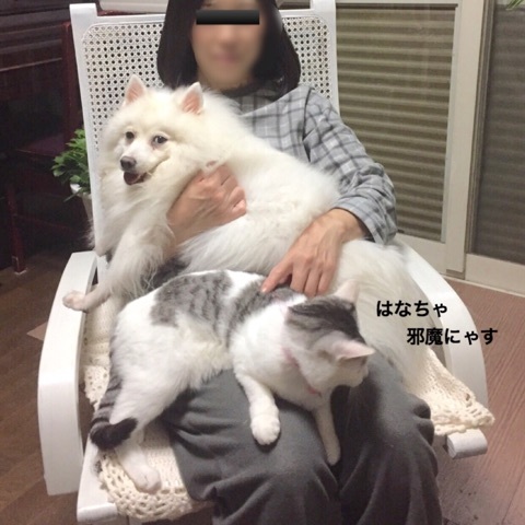 {1985944B-351B-46C4-94E2-EB2CF300D7F2}
