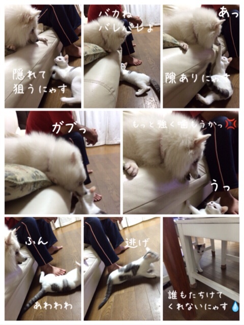 {F6B5F313-A0BA-4127-95A1-28F02DEEFF6E:01}