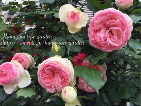 {094EFE59-39B3-4AEB-A592-8F3A2DA469C4:01}