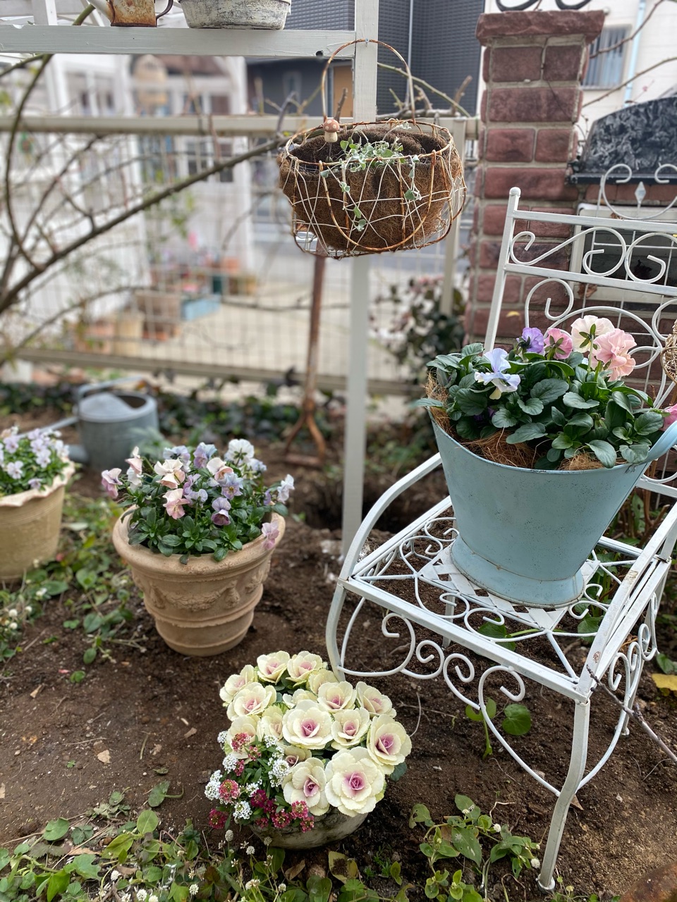 春の仕度 大きくなる花を狭い庭に植えるときの工夫 のばらのガーデニングブログ Hana And Rose Garden Powered By ライブドアブログ 春の仕度 大きくなる花を狭い庭に植えるときの工夫 のばらのガーデニングブログ Hana And Rose Garden Powered By ライブドアブログ