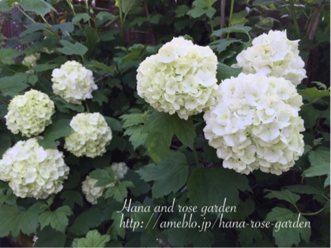 {8333C687-207A-42AD-AAFD-8B2972E6CEDD:01}