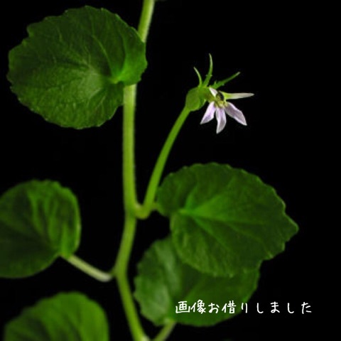 {88AEB2C8-DA8F-4D53-8156-1D9FB7C72E7F:01}