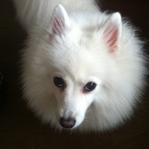 photo:05