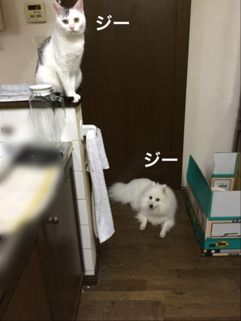 {3560C236-7462-4966-B5AE-0A5551B87AC5:01}