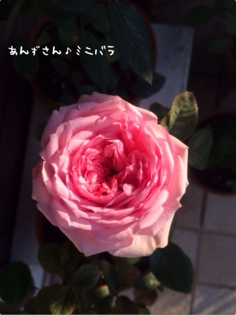 {9E087771-A738-4F55-AFD0-4642BC098E37:01}