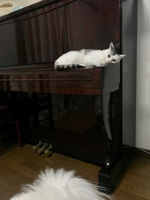FullSizeRender