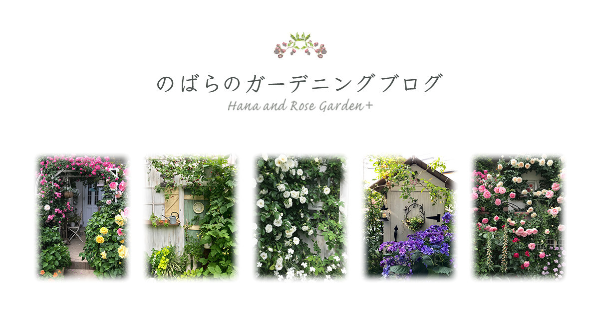 のばらのガーデニングブログ Hana And Rose Garden Powered By ライブドアブログ