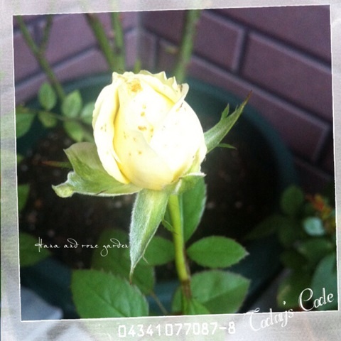 {E116BD3B-AA06-4621-86AE-7C0ECAC97FD4:01}