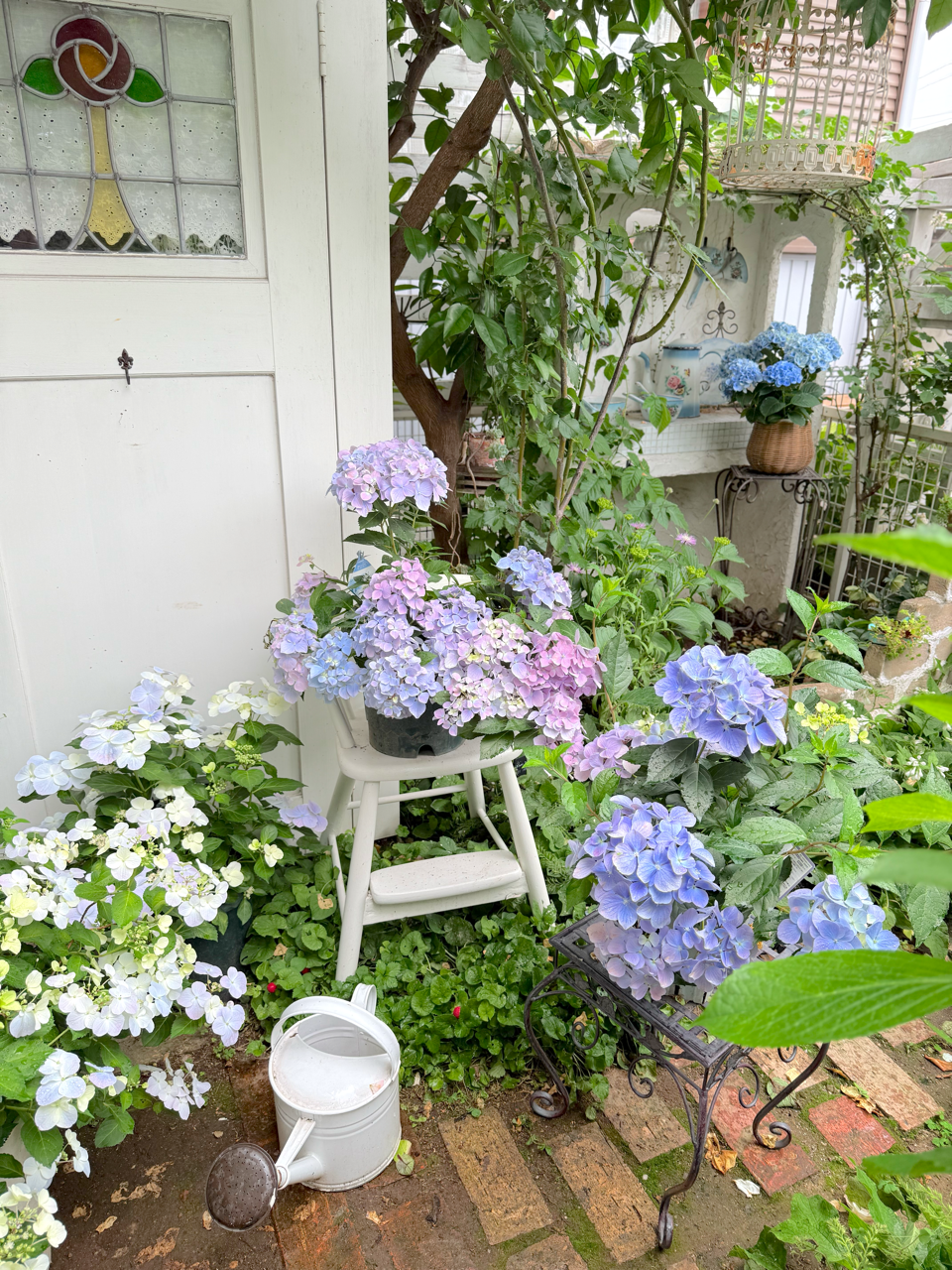 オーロラカラーの紫陽花の作り方（ラグランジアクリスタルヴェール2