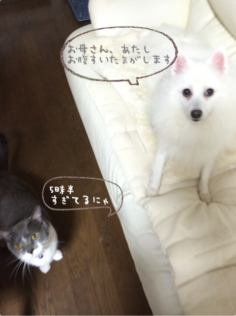 {EE07D88D-3E34-46E4-8F85-BF297CB39F3A:01}