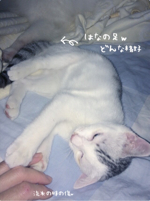 {BCA5A2AD-F535-4454-953C-A8B56BBF4856:01}