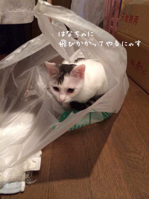 {14F53FB4-532C-452F-AF49-512AA64D771A:01}