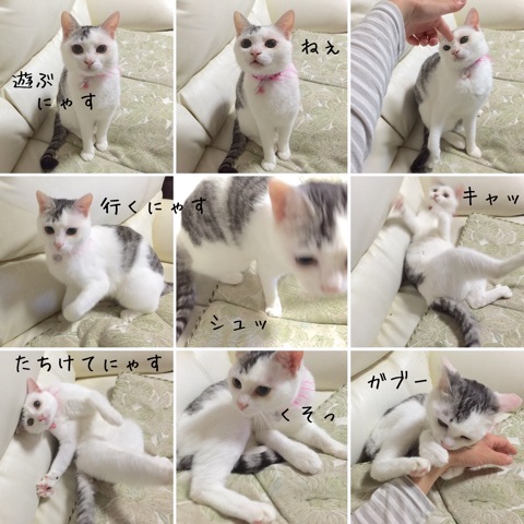 {6395ACB9-564E-436A-A0B5-B3862A278F5D}