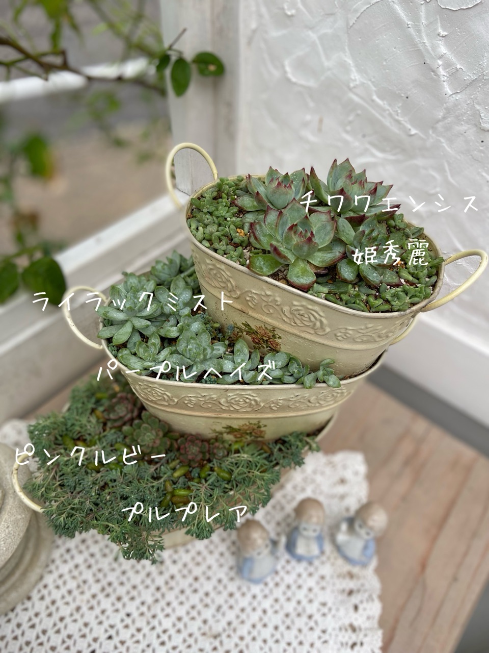 多肉】秋は成長期!ブリキ缶3段タワーの寄せ植えもりもり! : の 多肉】秋は成長期!ブリキ缶3段タワーの寄せ植えもりもり! : の