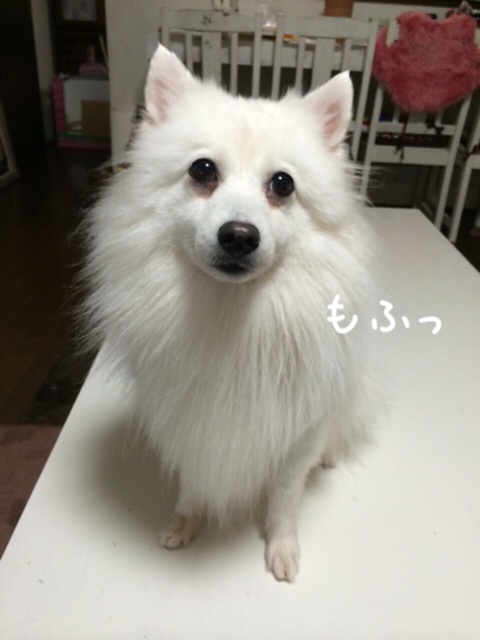 {A0A7682F-3A2C-409C-89CA-C08142D67F5C:01}