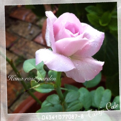 {1E102103-CF37-4E2A-8A9C-462D3F3CE47C:01}