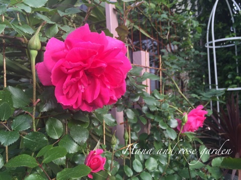 {AAAD528A-9989-482C-85EC-E5CC501DBE6D}