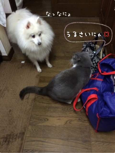 {07789B50-9A22-4EB2-A309-93CE1EB346E7:01}