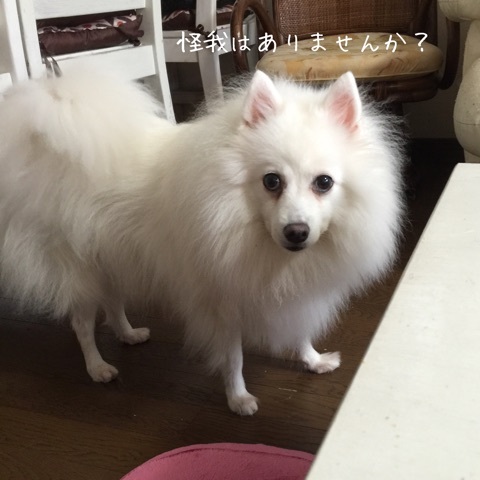 {9CF24FDF-6141-40CD-A08A-AF15EFB9C1CC}