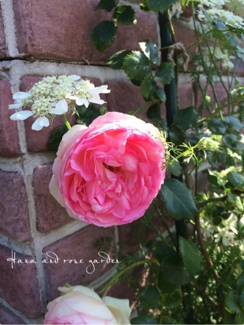 {22CB9474-DB5D-4539-9A1A-EEE866934EB6:01}