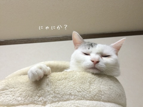 {093B7EC6-1F57-4C69-A280-C5C144EA94DE:01}