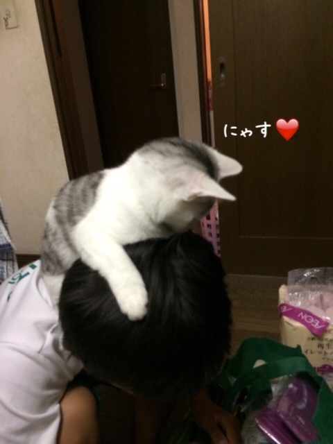 {D45A9FBF-8819-42B6-96ED-9C7EDAA61C2F:01}