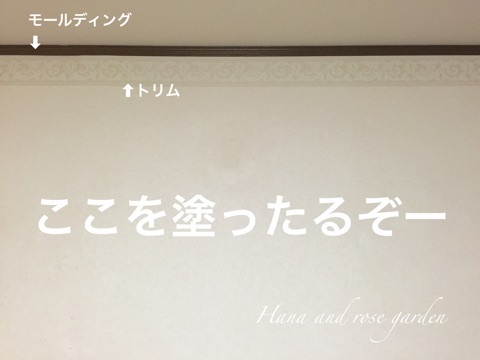 {06E36BD6-83C0-48CA-A0BE-1BDDF8AC0292}