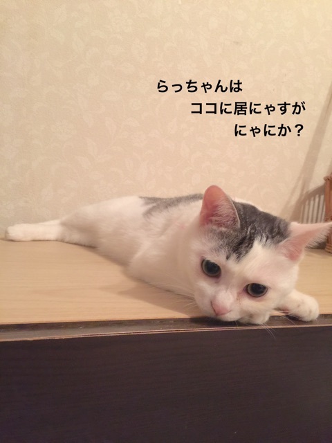 {659F8C78-3351-4362-ABD5-0B524D580279}
