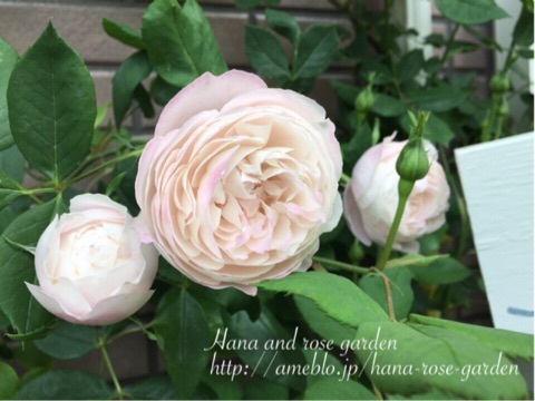 {3A7F9198-B34C-4AAF-917F-5859E1FE89F0:01}