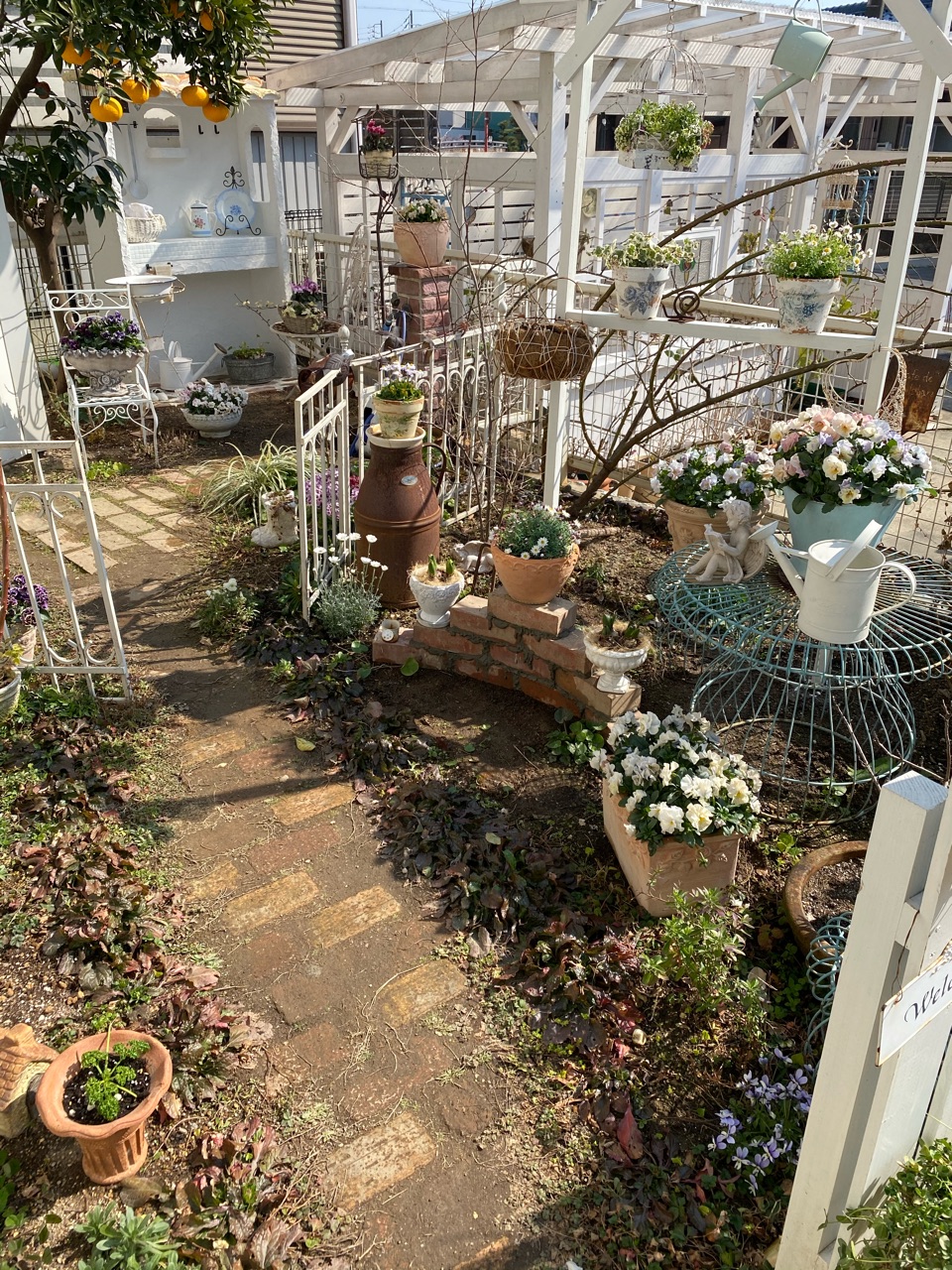 平坦な花壇にレンガの花台を作って立体感を出しました のばらのガーデニングブログ Hana And Rose Garden Powered By ライブドアブログ