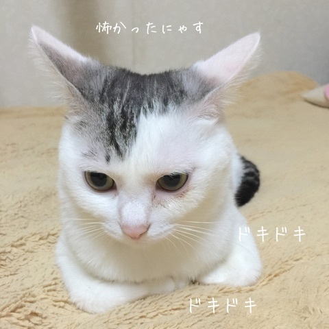 {34346B9C-6714-47C9-99BA-DAC156ABA48B:01}