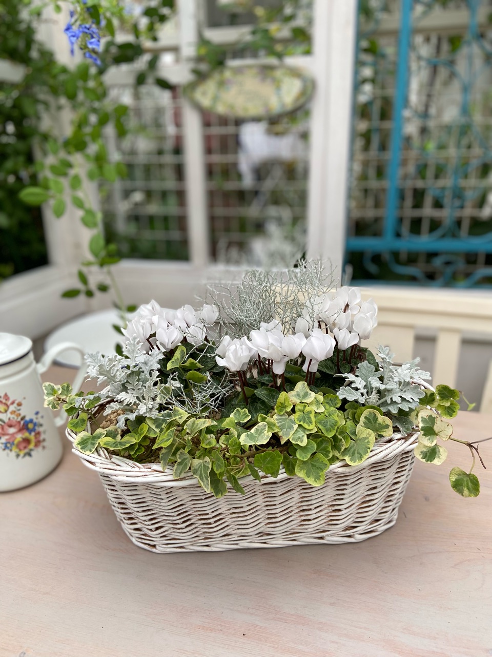 気分は秋冬～白い花とシルバーリーフの寄せ植え～ : のばらの