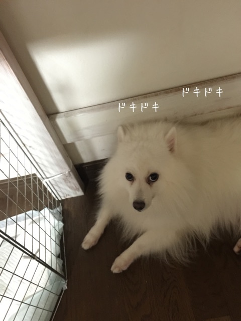 {B1F43BCA-95A5-40B9-80F2-19FACF956CB5:01}