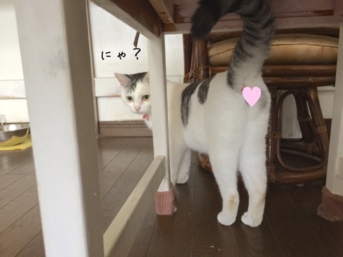 {B2CF4969-AFB5-42C9-9D74-AEAD190CA5AD}