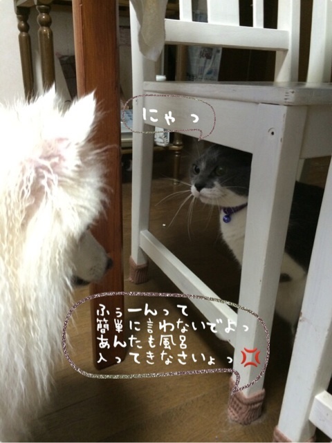 {3A07D522-96A9-473D-9D79-F9FBB2EC4F6D:01}